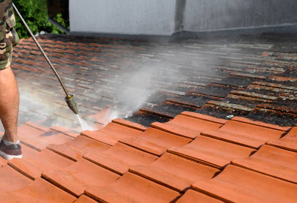 Best Best Pressure Washing Companies  in Shelbyvle, IL