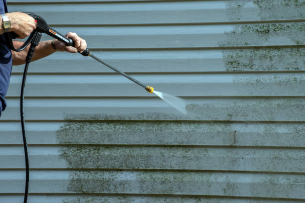 Best Deck Pressure Washing  in Shelbyvle, IL