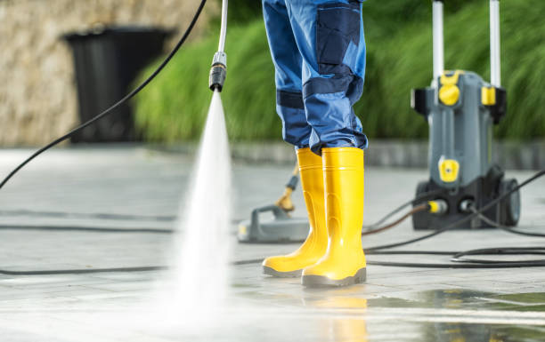 Best Pressure Washing Estimates  in Shelbyvle, IL