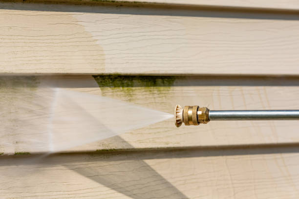 Best Commercial Building Pressure Washing  in Shelbyvle, IL